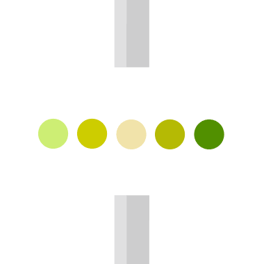 BestSelect Trichter 2